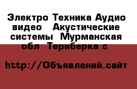 Электро-Техника Аудио-видео - Акустические системы. Мурманская обл.,Териберка с.